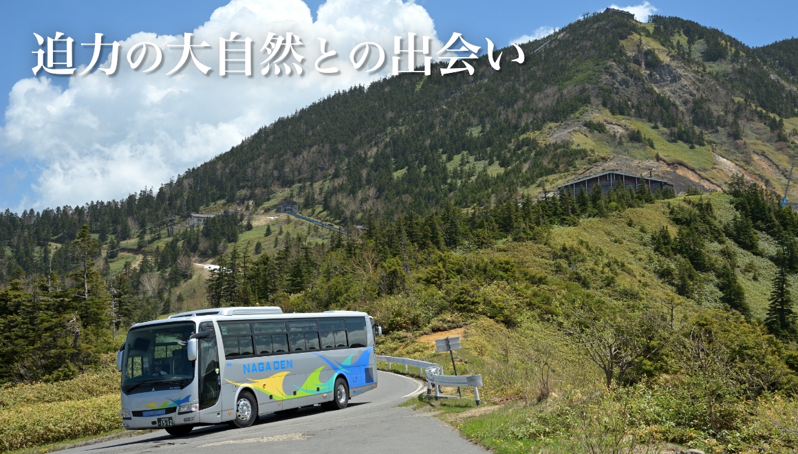 迫力の大自然との出会い