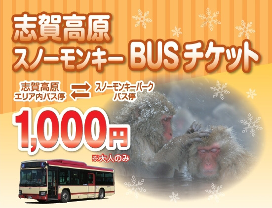 SNOW MONKEY BUS TICKET